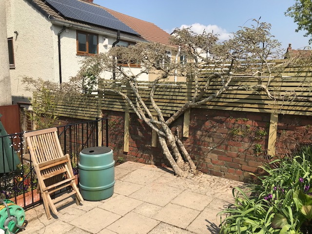 Fencing and gate work by Doug's Property Maintenance in North Somerset